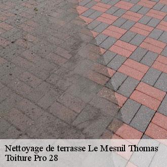 Nettoyage de terrasse  le-mesnil-thomas-28250 Toiture Pro 28