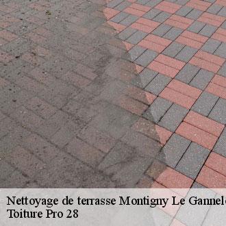 Nettoyage de terrasse  montigny-le-gannelon-28220 Toiture Pro 28