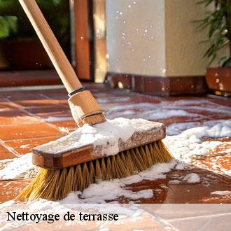 Nettoyage de terrasse  morainville-28700 Toiture Pro 28