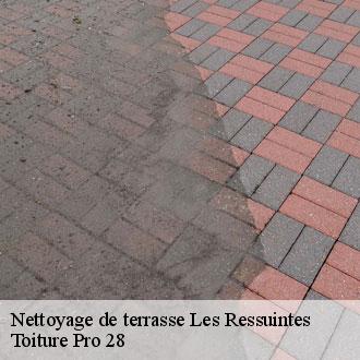Nettoyage de terrasse  les-ressuintes-28340 Toiture Pro 28