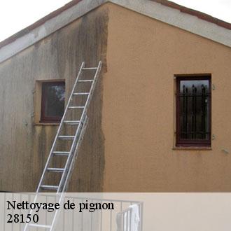 Nettoyage de pignon  allonnes-28150 Toiture Pro 28