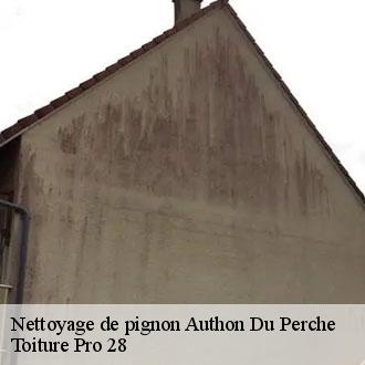 Nettoyage de pignon  authon-du-perche-28330 Toiture Pro 28