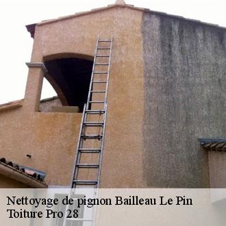 Nettoyage de pignon  bailleau-le-pin-28120 Toiture Pro 28