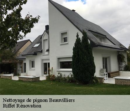 Nettoyage de pignon  beauvilliers-28150 Riffet Rénovation