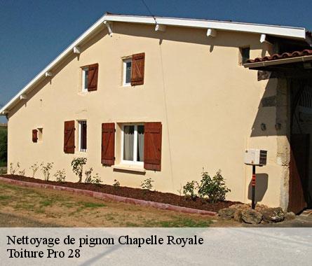 Nettoyage de pignon  chapelle-royale-28290 Toiture Pro 28