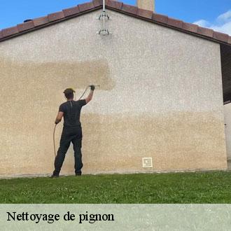 Nettoyage de pignon combres-28480 Toiture Pro 28