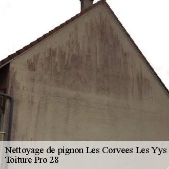 Nettoyage de pignon  les-corvees-les-yys-28240 Toiture Pro 28