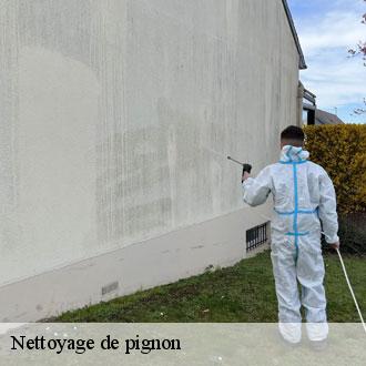 Nettoyage de pignon  courbehaye-28140 Toiture Pro 28
