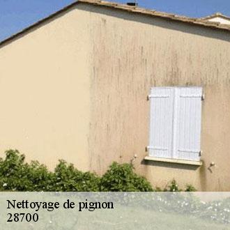Nettoyage de pignon  denonville-28700 Toiture Pro 28