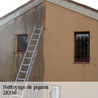 Nettoyage de pignon  les-etilleux-28330 Toiture Pro 28