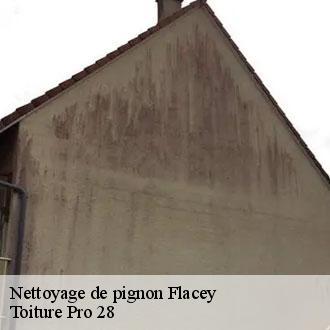 Nettoyage de pignon  flacey-28800 Toiture Pro 28