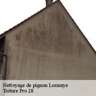 Nettoyage de pignon  lormaye-28210 Toiture Pro 28