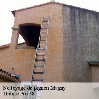 Nettoyage de pignon  magny-28120 Toiture Pro 28