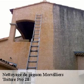 Nettoyage de pignon  morvilliers-28340 Toiture Pro 28