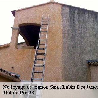 Nettoyage de pignon saint-lubin-des-joncherets-28350 Toiture Pro 28