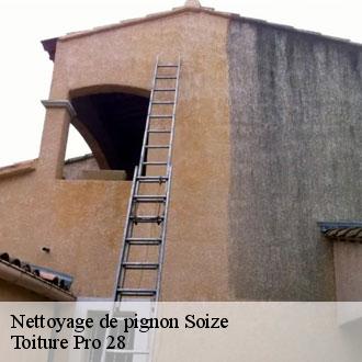 Nettoyage de pignon soize-28330 Toiture Pro 28
