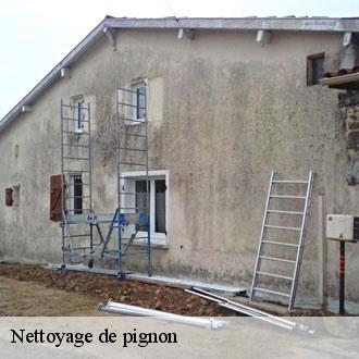 Nettoyage de pignon  sorel-moussel-28520 Toiture Pro 28