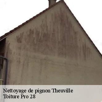 Nettoyage de pignon  theuville-28360 Toiture Pro 28