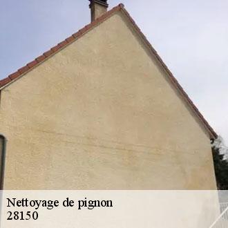 Nettoyage de pignon  viabon-28150 Toiture Pro 28