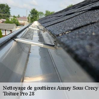 Nettoyage de gouttières  aunay-sous-crecy-28500 Toiture Pro 28