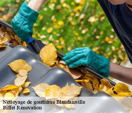 Nettoyage de gouttières  blandainville-28120 Riffet Rénovation