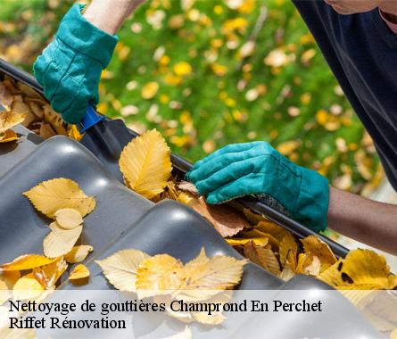 Nettoyage de gouttières  champrond-en-perchet-28400 Riffet Rénovation