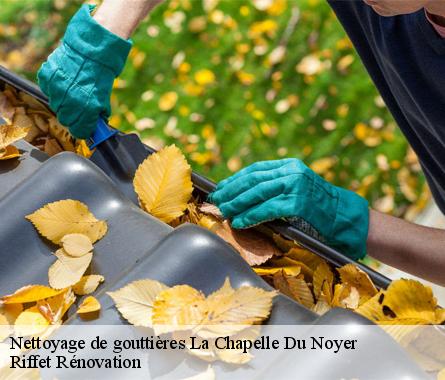 Nettoyage de gouttières  la-chapelle-du-noyer-28200 Nettoyage et Traitement 28