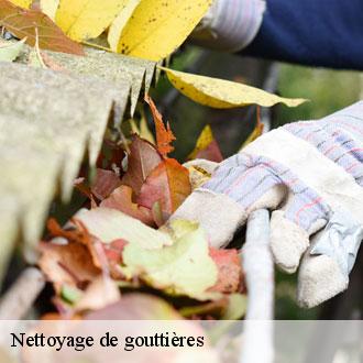 Nettoyage de gouttières la-chapelle-fortin-28340 Toiture Pro 28