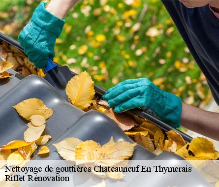 Nettoyage de gouttières  chateauneuf-en-thymerais-28170 Riffet Rénovation
