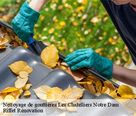 Nettoyage de gouttières  les-chatelliers-notre-dam-28120 Riffet Rénovation