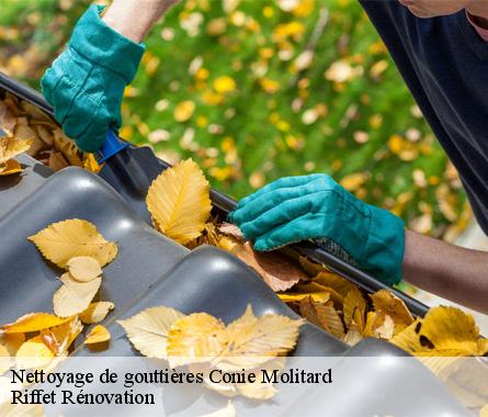 Nettoyage de gouttières  conie-molitard-28200 Riffet Rénovation