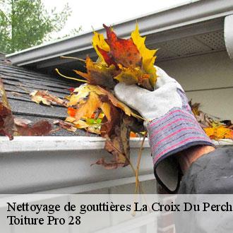 Nettoyage de gouttières  la-croix-du-perche-28480 Toiture Pro 28