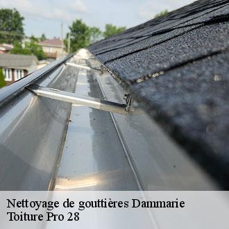 Nettoyage de gouttières dammarie-28360 Toiture Pro 28