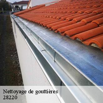 Nettoyage de gouttières douy-28220 Toiture Pro 28