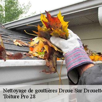 Nettoyage de gouttières droue-sur-drouette-28230 Toiture Pro 28