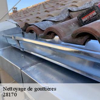 Nettoyage de gouttières ecuble-28170 Toiture Pro 28