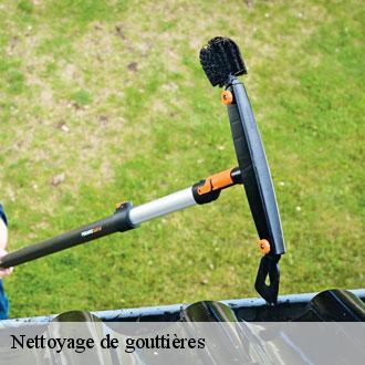 Nettoyage de gouttières ecuble-28170 Toiture Pro 28