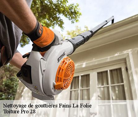 Nettoyage de gouttières  fains-la-folie-28150 Toiture Pro 28