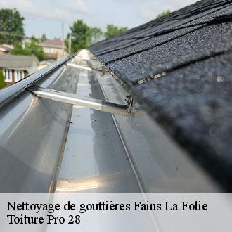 Nettoyage de gouttières  fains-la-folie-28150 Toiture Pro 28
