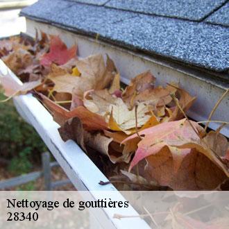 Nettoyage de gouttières  la-ferte-vidame-28340 Toiture Pro 28