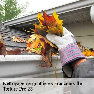 Nettoyage de gouttières  francourville-28700 Toiture Pro 28