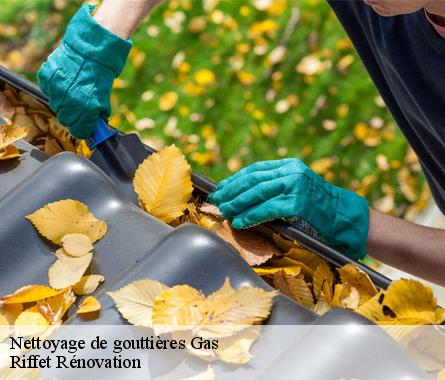 Nettoyage de gouttières  gas-28320 Riffet Rénovation