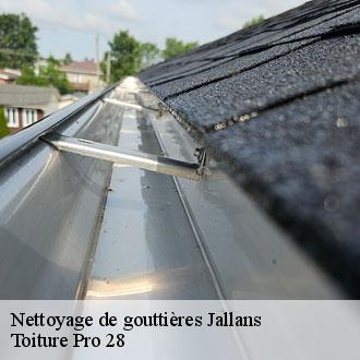 Nettoyage de gouttières  jallans-28200 Toiture Pro 28
