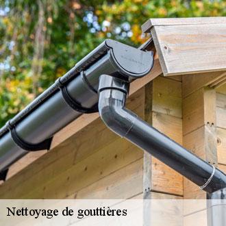 Nettoyage de gouttières  maisons-28700 Toiture Pro 28