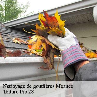 Nettoyage de gouttières  meauce-28240 Toiture Pro 28