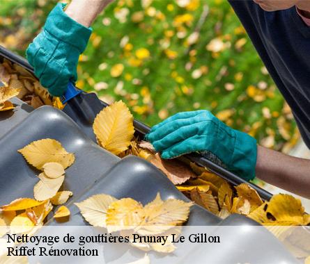 Nettoyage de gouttières  prunay-le-gillon-28360 Riffet Rénovation