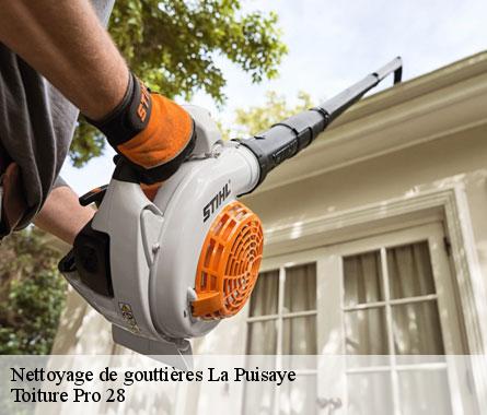 Nettoyage de gouttières la-puisaye-28250 Toiture Pro 28
