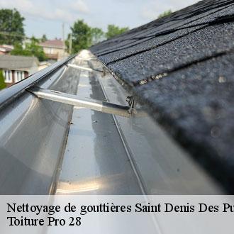 Nettoyage de gouttières  saint-denis-des-puits-28240 Toiture Pro 28