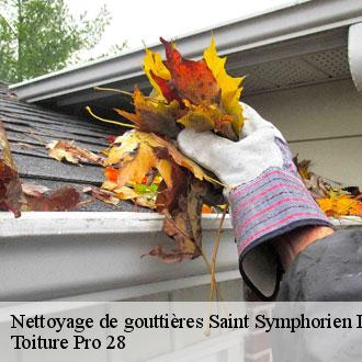 Nettoyage de gouttières  saint-symphorien-le-chateau-28700 Toiture Pro 28