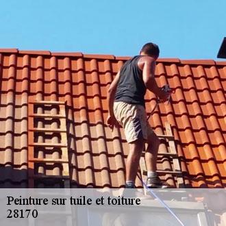 Peinture sur tuile et toiture ardelles-28170 Toiture Pro 28